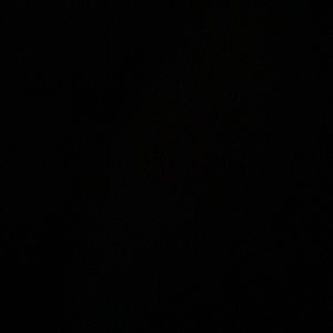 Meet your Posher, Erina